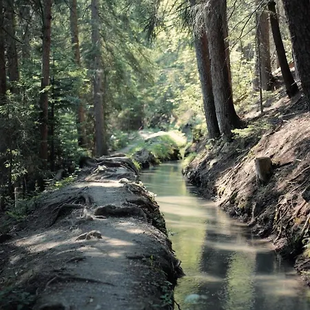 Woodland Village Anzere