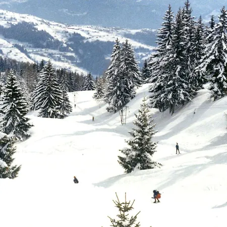 Woodland Village Anzère Aparthotel